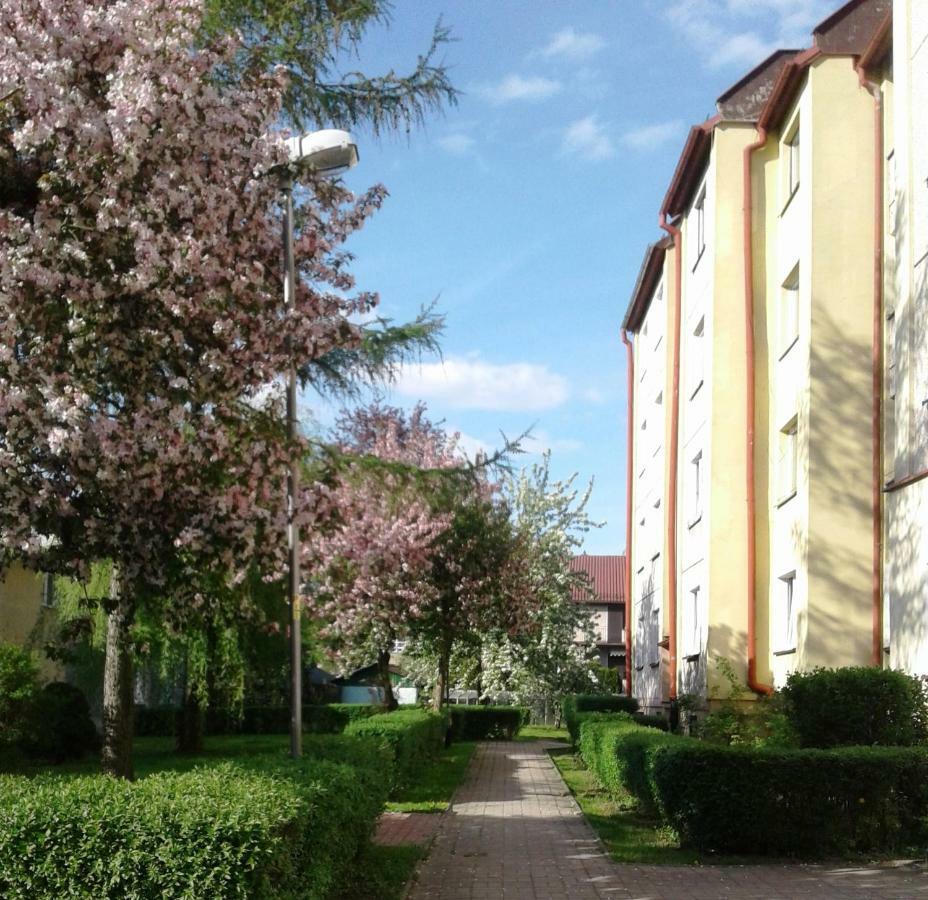 Apartmán Apartament Jasminowy Kudowa-Zdrój Exteriér fotografie